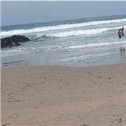 Profesora de cocina on line y precencial